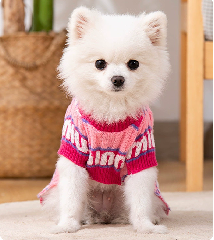 Dog & cat clothes
