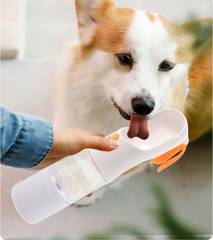 Dog & cat water feeding