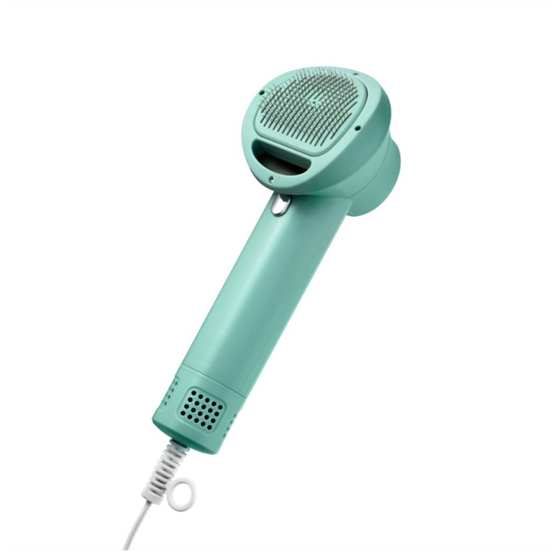  2 in 1 Smart pet hair dryer