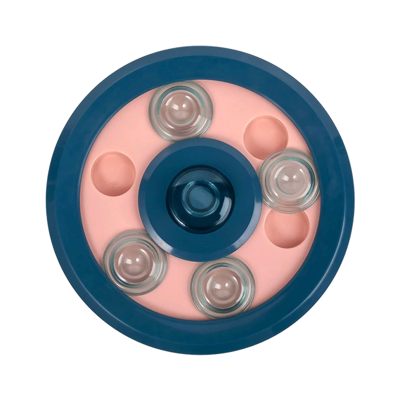 Dog cat slow feeding toy